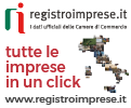 Registro imprese.it